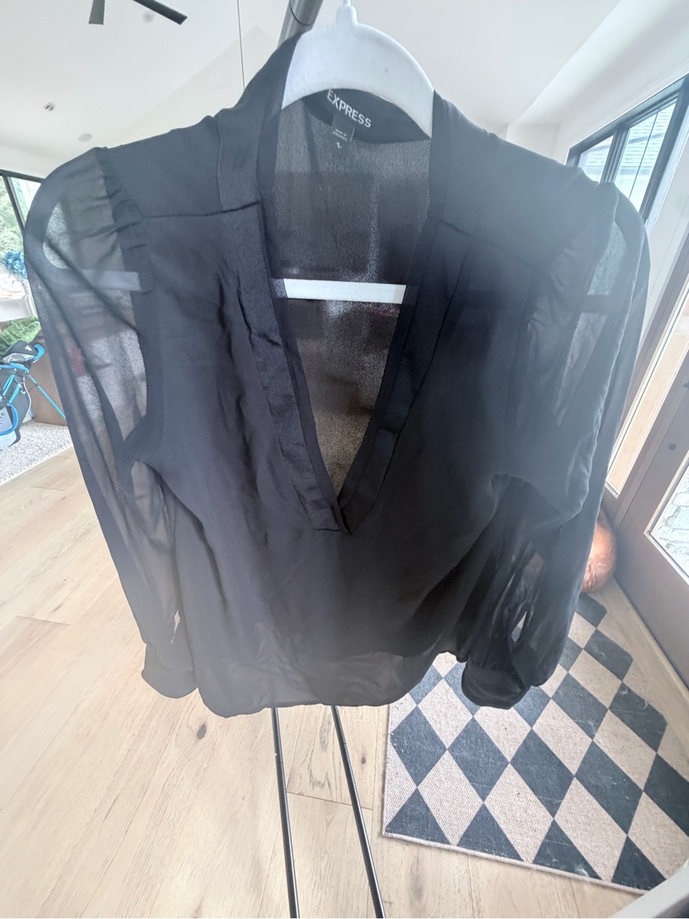 Express Black Sheer V-Neck Long Sleeve Blouse